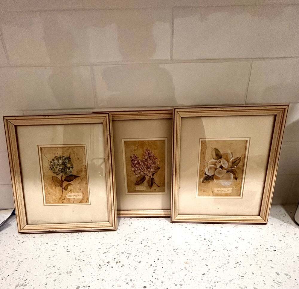 Vintage Set of 3 Framed Botanical Floral Prints - Hydrangea, Lilac, and Magnolia